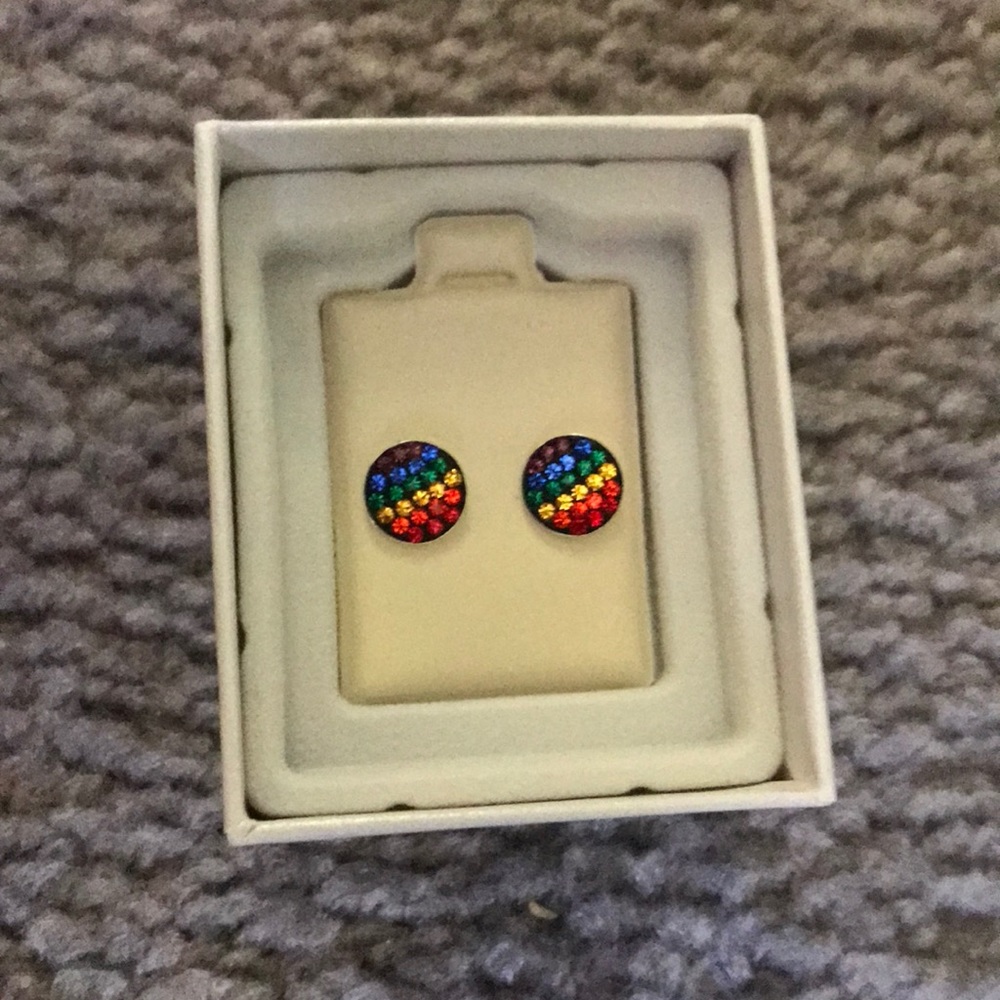 😍Rainbow Stud Earrings